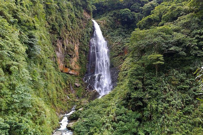 1D Tour to Cingjing Farm from Taichung - Key points to know before booking