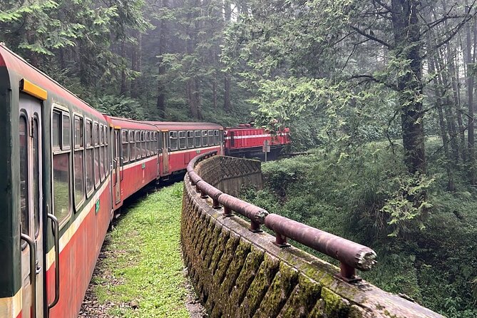 Alishan Day Tour from Chiayi (Incl. Park Entrance) - Why Alishan works well as a day trip from Chiayi