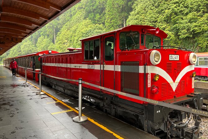 Alishan Day Tour from Chiayi (Incl. Park Entrance) - The Alishan train option