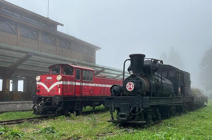 Alishan Day Tour from Chiayi (Incl. Park Entrance) - Guides who make the short visit count