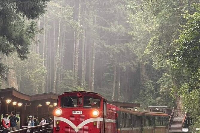 Alishan One Day Tour from Taichung - The real shape of this Taichung to Alishan day