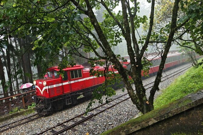 Alishan One Day Tour from Taichung - Fenqihu Old Street offers food and railway character