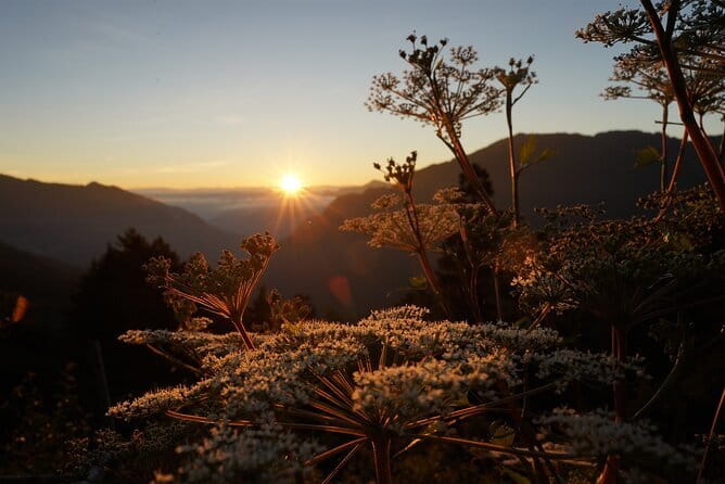 Alishan One Day Tour from Taichung - Who will enjoy this trip most?