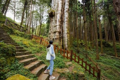 Alishan Taiwan 2 Day Private Tour from Taipei