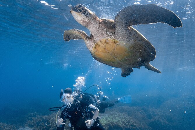 Discover Scuba Diving With Sea Turtles – Xiaoliuqiu, Taiwan - Why Xiaoliuqiu is such a good place for a first scuba session