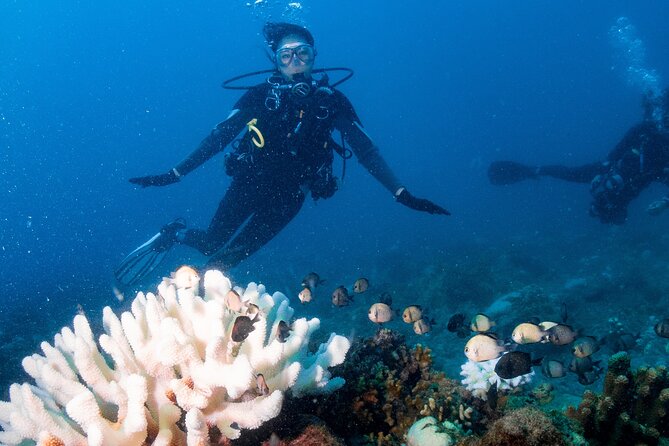 Discover Scuba Diving With Sea Turtles – Xiaoliuqiu, Taiwan - Why the one-to-one instruction matters