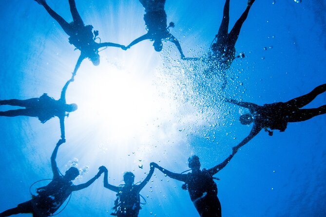 Discover Scuba Diving With Sea Turtles – Xiaoliuqiu, Taiwan - Who should book this experience?