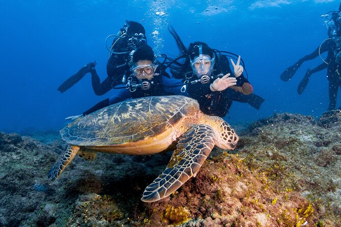 Discover Scuba Diving With Sea Turtles – Xiaoliuqiu, Taiwan - Practical tips for a calmer underwater experience