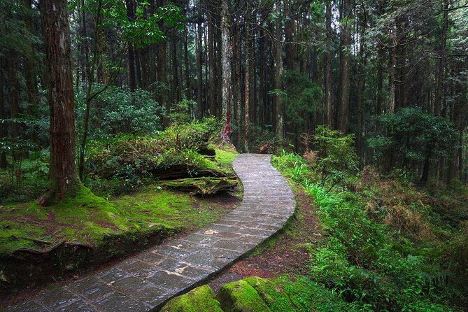 Exclusive 3-Day Sun Moon Lake & Alishan Private Tour - FAQ