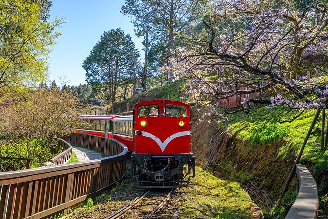 Exclusive 3-Day Sun Moon Lake & Alishan Private Tour - Day 2: From Chiayi railways to Alishan’s old trees