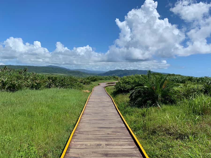 From Kaohsiung: Kenting & Ocean Coast Private Day Tour - Key points to know before you book