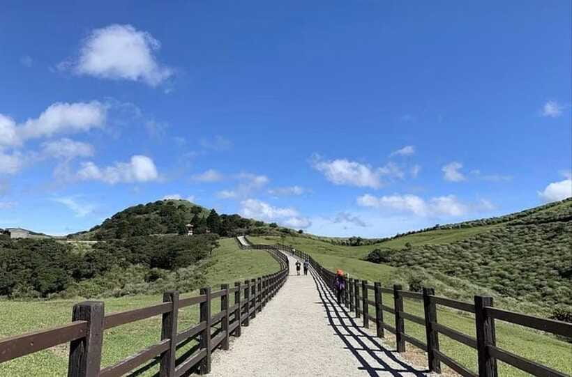 From Taipei: Beitou & Yangmingshan Private Day Tour - Qingtiangang Grassland is the day’s open-air highlight