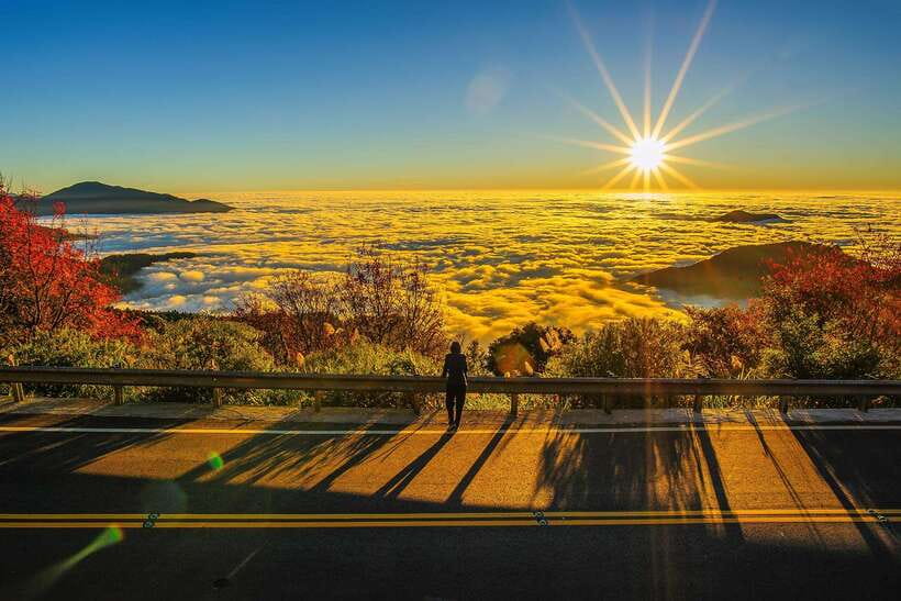 From Taipei City: 3-Day Sun Moon Lake & Alishan Private Tour - Key points to know before booking