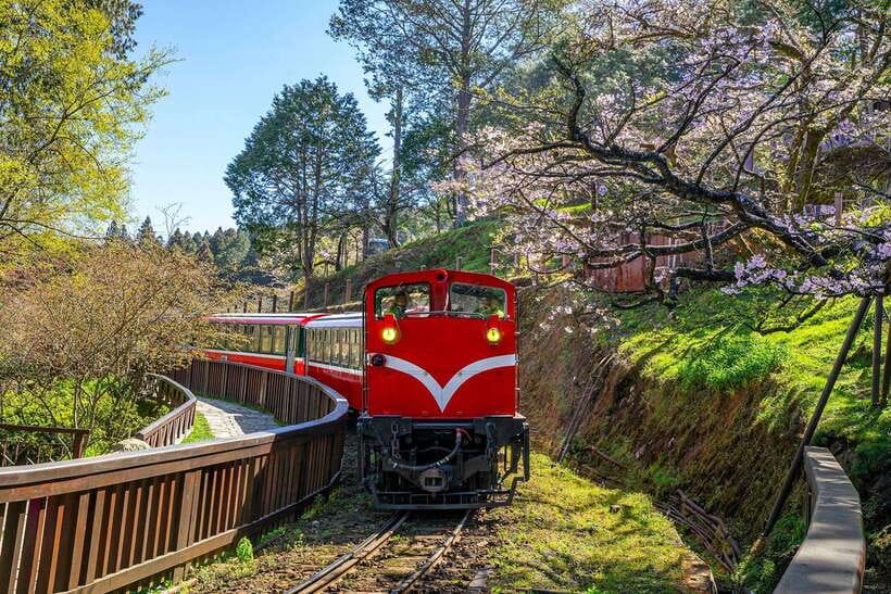 From Taipei City: 3-Day Sun Moon Lake & Alishan Private Tour - Day 3: Alishan sunrise and the return through central Taiwan
