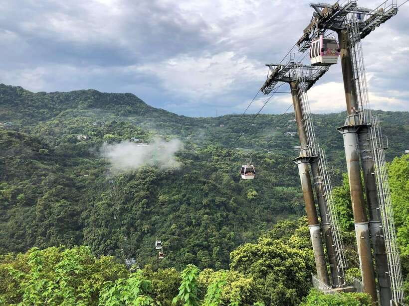 From Taipei: Pinglin Tea Culture and Maokong Guided Day Tour - Walking the Zhanghu Trail and Maokong tea paths