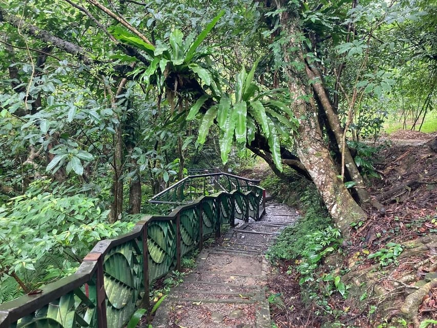 From Taipei: Pinglin Tea Culture and Maokong Guided Day Tour - Learning about Tieguanyin and Baozhong tea