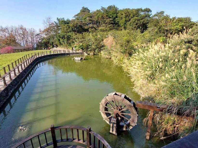 From Taipei: Pinglin Tea Culture and Maokong Guided Day Tour - Taking a lunch break in Maokong