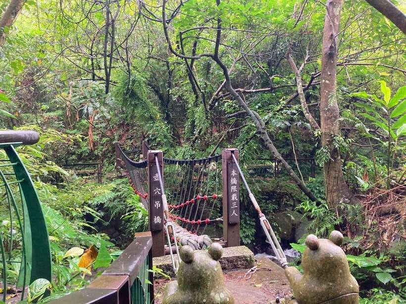 From Taipei: Pinglin Tea Culture and Maokong Guided Day Tour - Seeing Shiding’s Thousand Island Lake