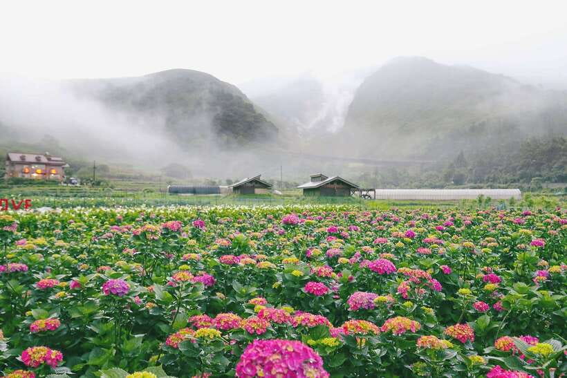 From Taipei: Private Yangmingshan Volcano and Nature Tour - Datun Nature Park and Views Across Northern Taiwan