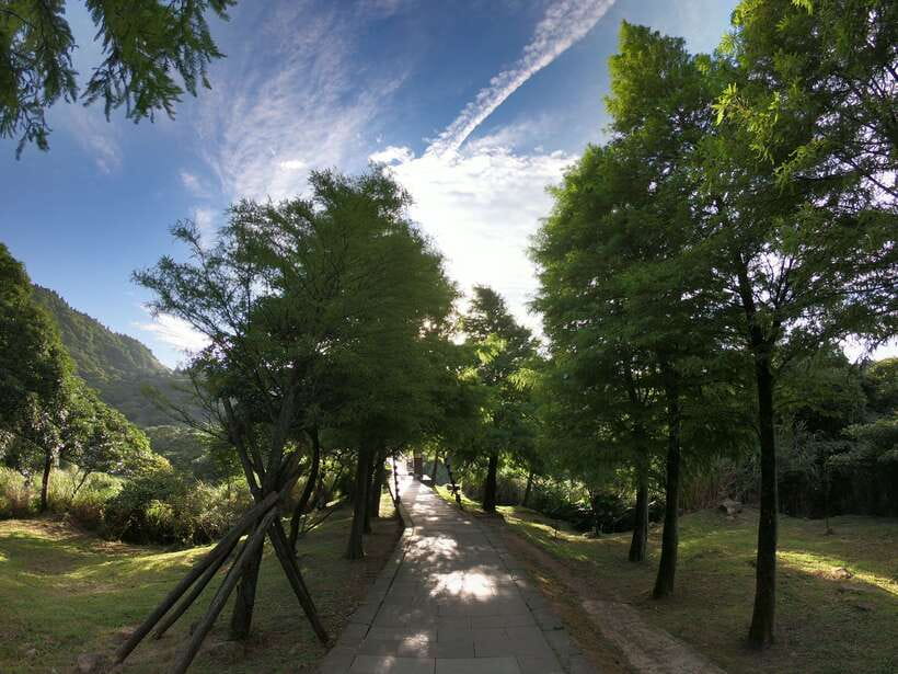 From Taipei: Private Yangmingshan Volcano and Nature Tour - What the Private Driver-Guide Adds