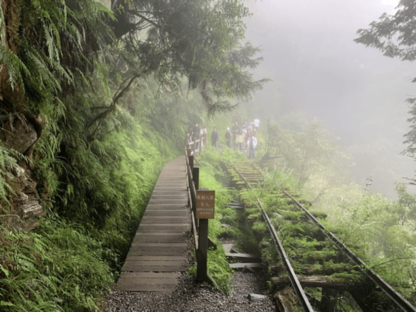 From Taipei: Taipingshan National Forest Private Day Tour - Leaving Taipei for Taipingshan