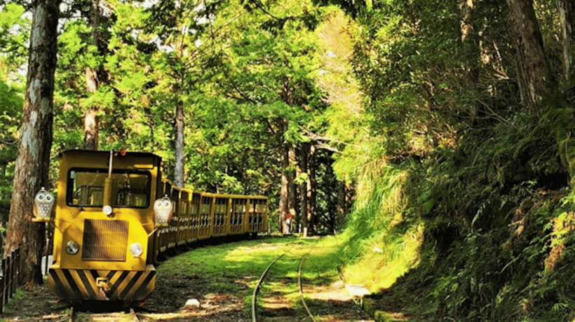 From Taipei: Taipingshan National Forest Private Day Tour - Taipingshan National Forest and its railway past