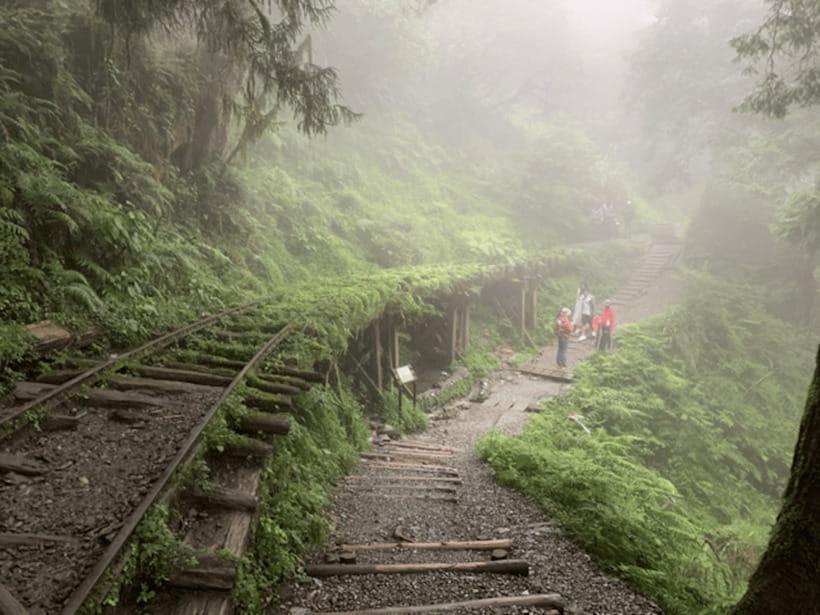 From Taipei: Taipingshan National Forest Private Day Tour - Jianqing Huaigu Trail and the forest of moss