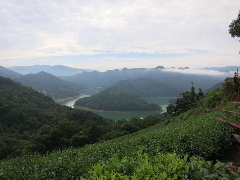 From Taipei: Thousand Island Lake and Pinglin Tea Plantation - Guides, group size, and the feel of the day