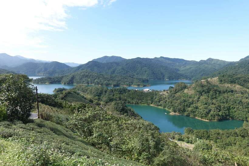 From Taipei: Thousand Island Lake and Pinglin Tea Plantation - Bagua Tea Garden and the patterned tea rows