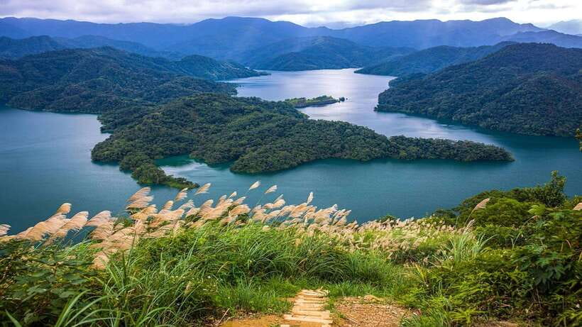 From Taipei: Thousand-Island Lake & Tea Museum Private Tour - What the private format changes