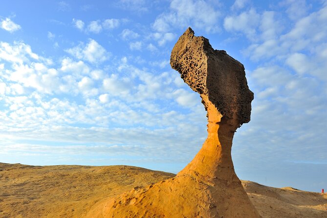 Full-Day Private Tour in Northern Taiwan - Yehliu Geopark and its odd coastal rocks