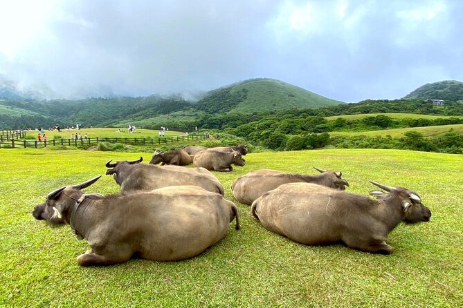 Full-day Tour in Yangmingshan & Beitou from Taipei (Small Group) - Sulfur Valley brings the geology to life