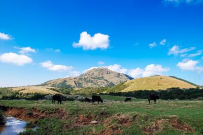 Full-day Tour in Yangmingshan & Beitou from Taipei (Small Group)