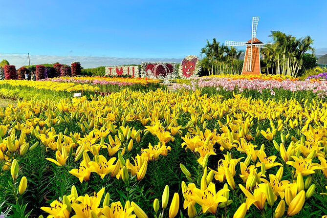 Gaomei Wetlands, Rainbow Village, Miyahara & Zhongshe from Taipei - Zhongshe Flower Market and its six hectares of color