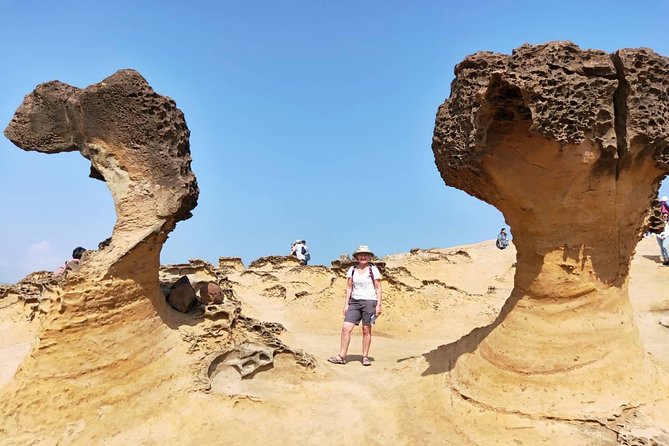 Half Day Private Tour to Yangmingshan National Park and Yehliu Geopark - Five things to know before you book