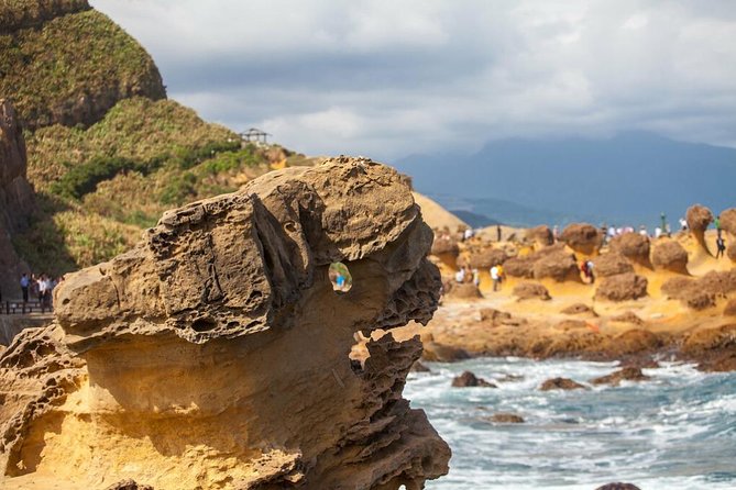 Half Day Private Tour to Yangmingshan National Park and Yehliu Geopark - Why this six-hour route works from Taipei