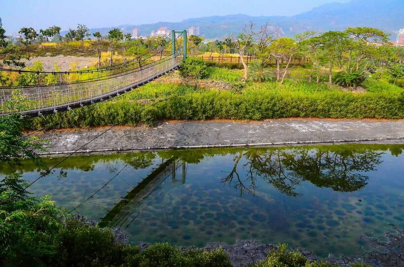 Kaohsiung: Private Walking Tour with a Local - The guide makes or breaks the experience