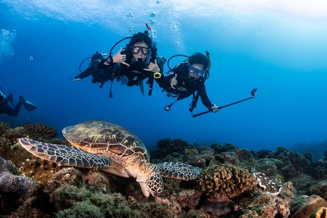 Kenting, Taiwan|PADI Basic Diving License Course|Taiwan Diving Open Water Course - Why the instruction matters for beginners