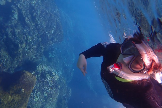Kenting, Taiwan｜Snorkeling Free underwater photography One-on-one with instructor｜Taiwan Diving Snorkeling - Thirty to 40 minutes among coral and fish