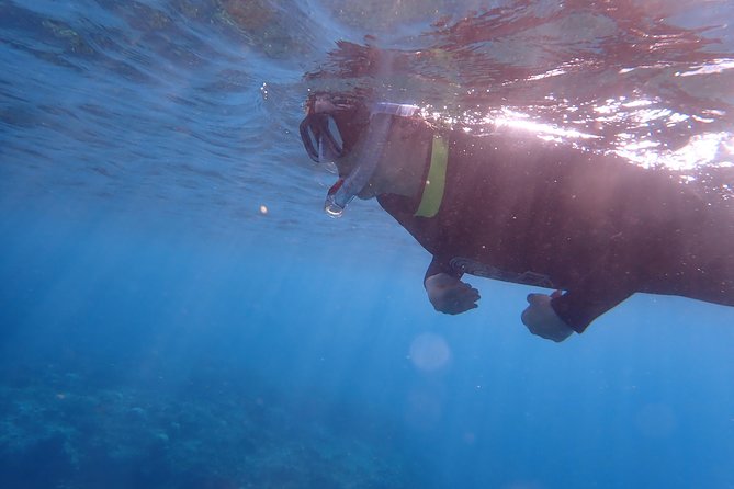Kenting, Taiwan｜Snorkeling Free underwater photography One-on-one with instructor｜Taiwan Diving Snorkeling - Why the instruction matters more than the certificate