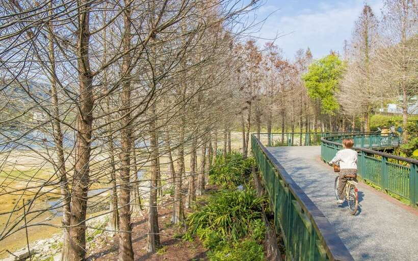 Nantou: Sun Moon Lake Combo - Riding the Around-Lake Bikeway