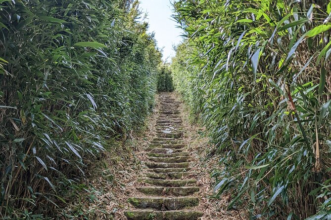 One Day Hike around Taipei's Yangmingshan National Park - Forest Trails, Lengshuikeng Pond, and Jingshan Bridge
