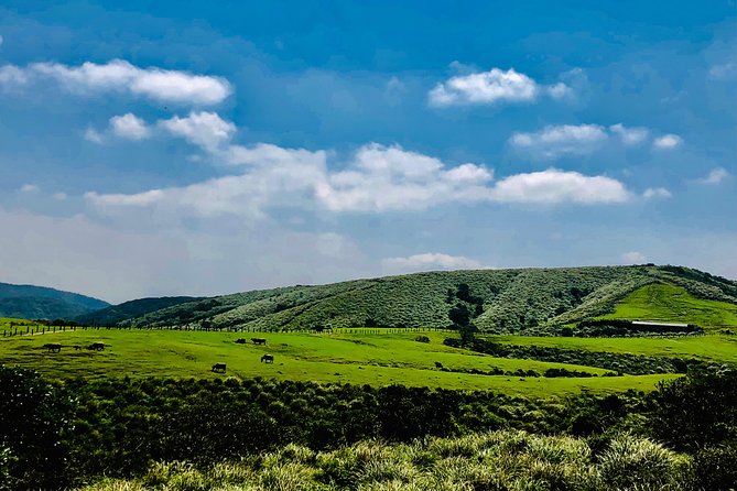 One-day private chartered car tour in Taipei: Yehliu, Jiufen, Pingxi, North Coast popular attractions with chartered car, professional Chinese/English driver - Timing, pickup, and the cost of overtime