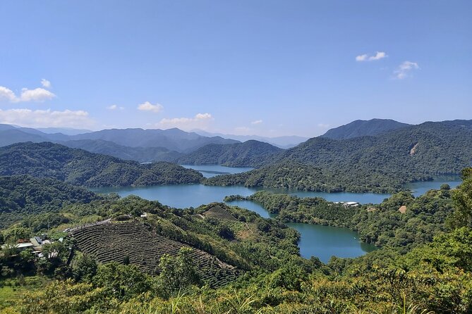 Pinglin Tea Culture & Maokong Day Tour from Taipei - What makes this day tour worth considering