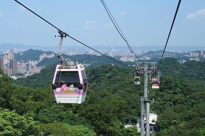 Pinglin Tea Culture & Maokong Day Tour from Taipei - Tieguanyin, Baozhong, and a slower look at tea