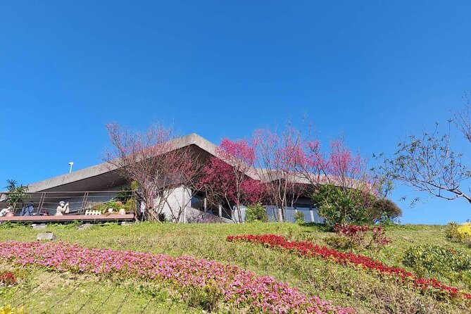 Pinglin Tea Culture & Maokong Day Tour from Taipei - Lunch in Maokong, with food left to you