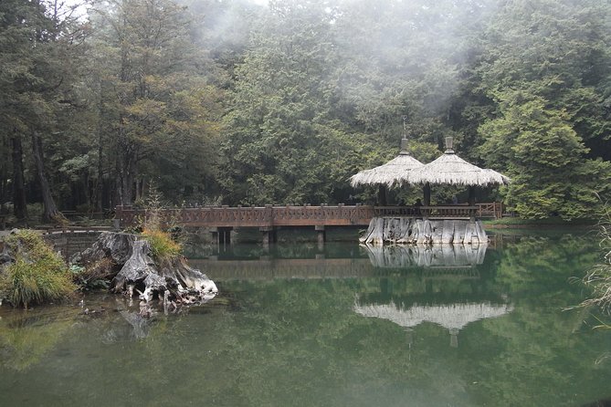 Private 3-Day Tour to Sun Moon Lake and Alishan - Who gets the best value from this tour?
