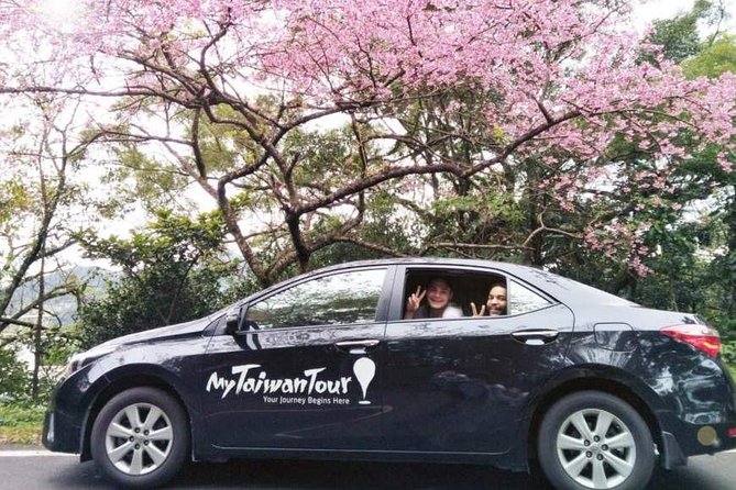 Private Custom Tour: Taipei in a Day - What the guides do best