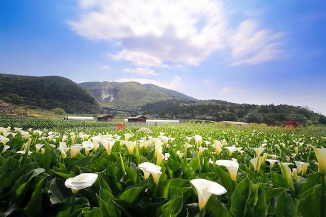Private Yangmingshan & Beitou Tour from Taipei with Pickup - Leaving Taipei for Yangmingshan’s volcanic hills