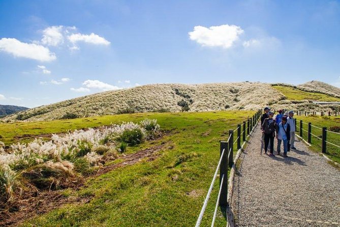 Private Yangmingshan & Beitou Tour from Taipei with Pickup - Beitou Hot Spring Museum and Public Library